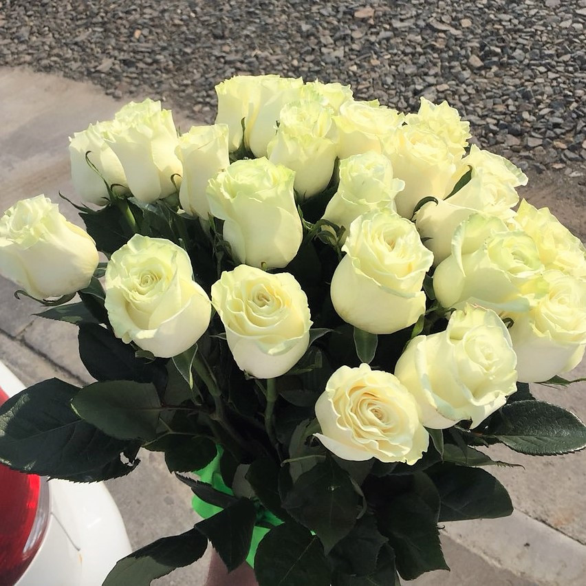 Купить розы магнитогорск. Магазин цветов "15роз" Челябинск. Заказать розу Магнитогорск.
