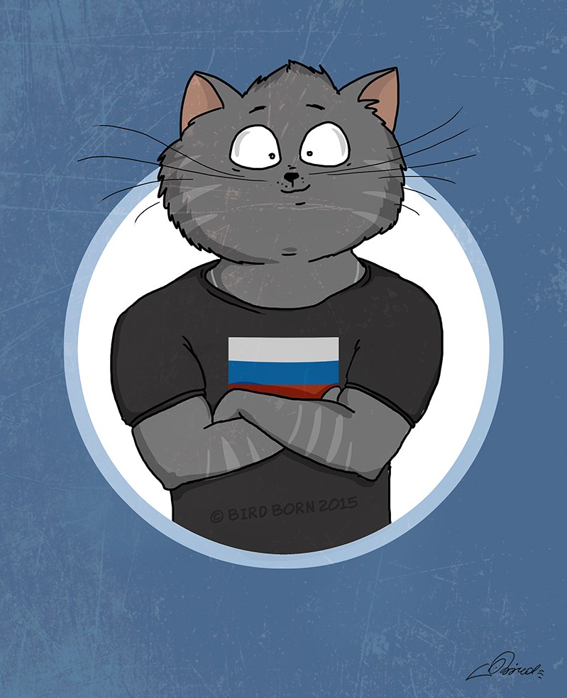 Аватары ВКонтакте кошки, смешные (78 аватаров вконтакте)