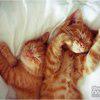 Nataly_First