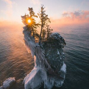 Алиса