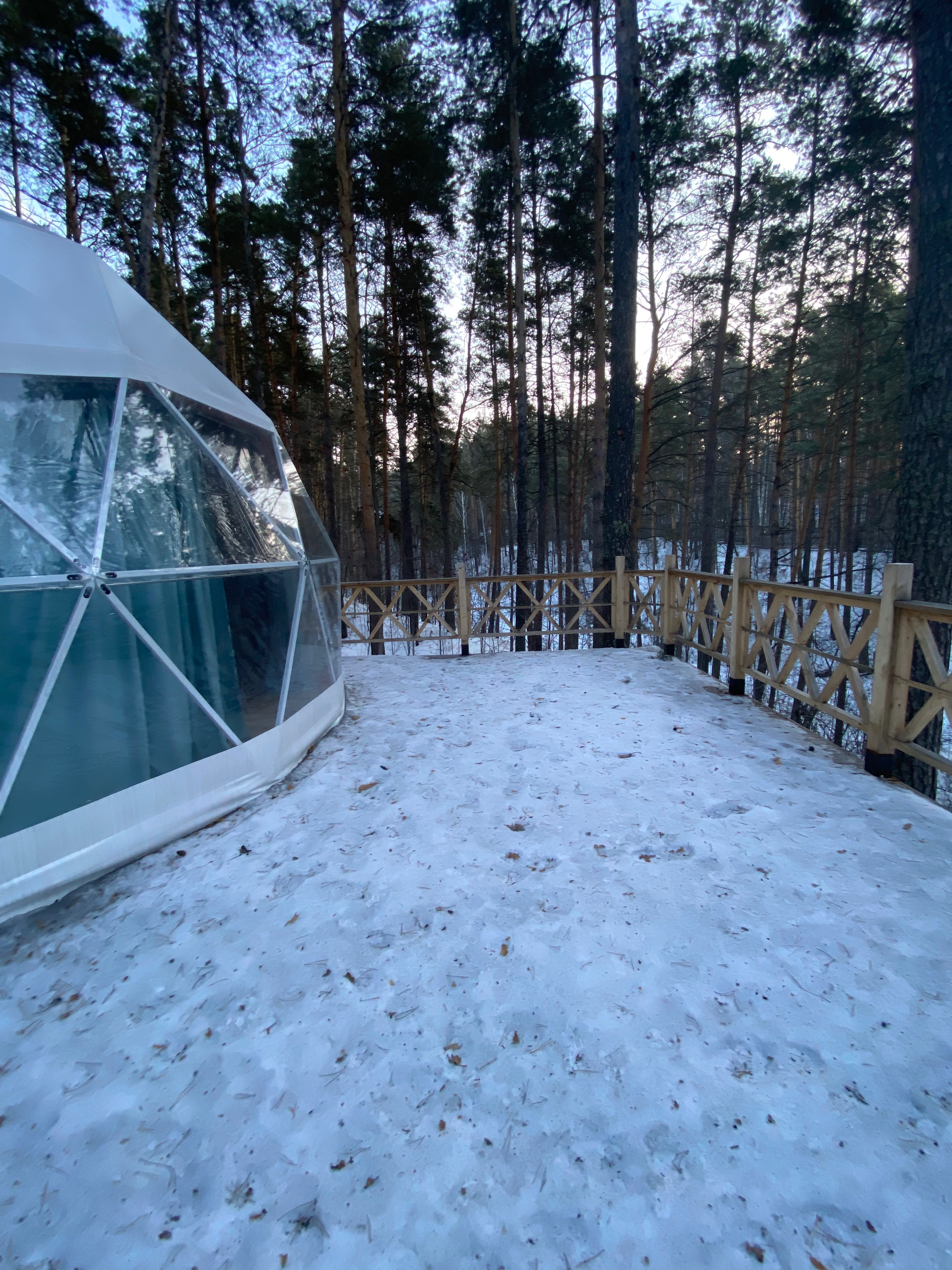 Хвоя парк новосибирск. Парк отель Былина Бердск. Хвоя парк отель Новосибирск. Хвоя парк отель Бердск. Отель Былина Новосибирск.