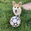 Christian Corgi