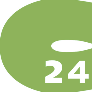 Синтепон 24