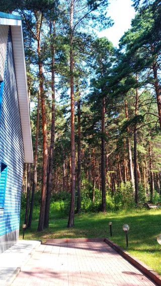 Фото: Парк-отель Хвоя, гостиница, 6, Речкуновская зона отдыха, Бердск - Яндекс К