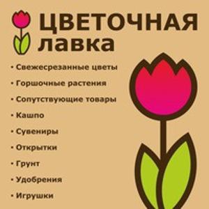 Людмила Титова