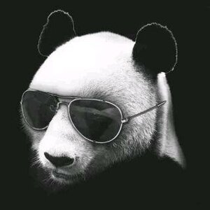 Сергей Холдин