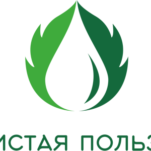 Чистая польза