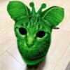 Николай