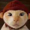 Воланд Иванов