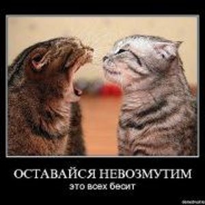 Шурик Ларионов