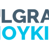 ulgran-moyki.ru