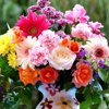 yekaterina.filip.88