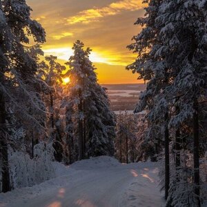 Соболева Марина