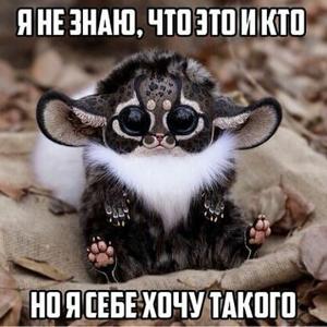 Евгений