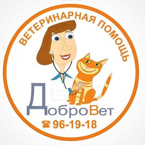 Добровет24