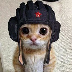 Андрей Некрытов