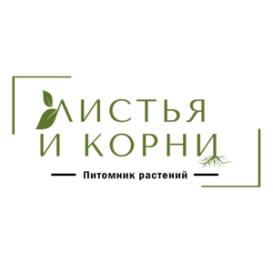 Листья и корни