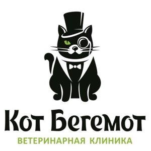 Кот Бегемот