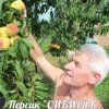 Алексей Васютинский