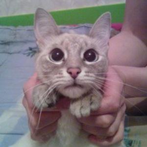 Инна Кавчук