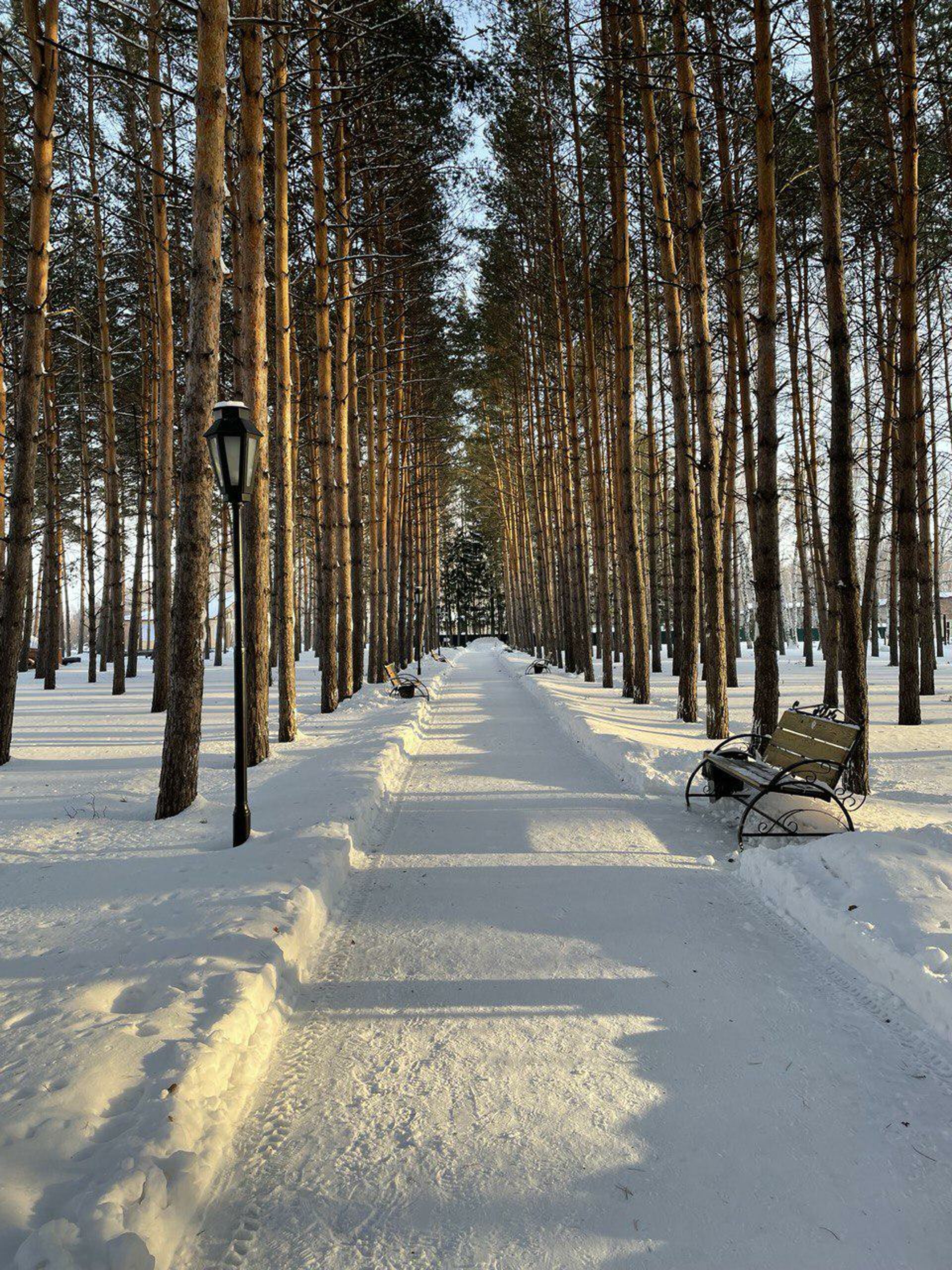 Доволенский, санаторий, Красный проспект, 65, Новосибирск — 2ГИС