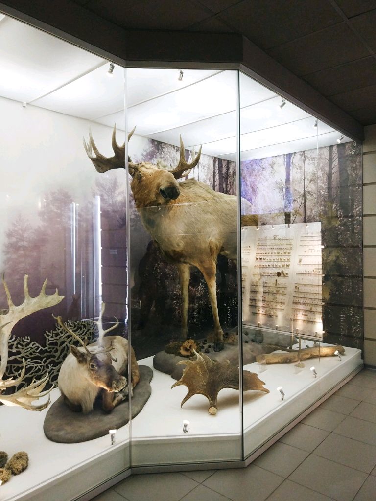 Музей в новосибирске
