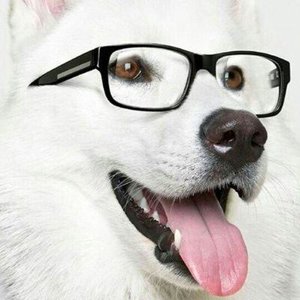 maxwolf24