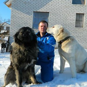 Кирилл Куликов