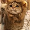 Виктория Лис
