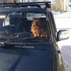 Богдан Нежин