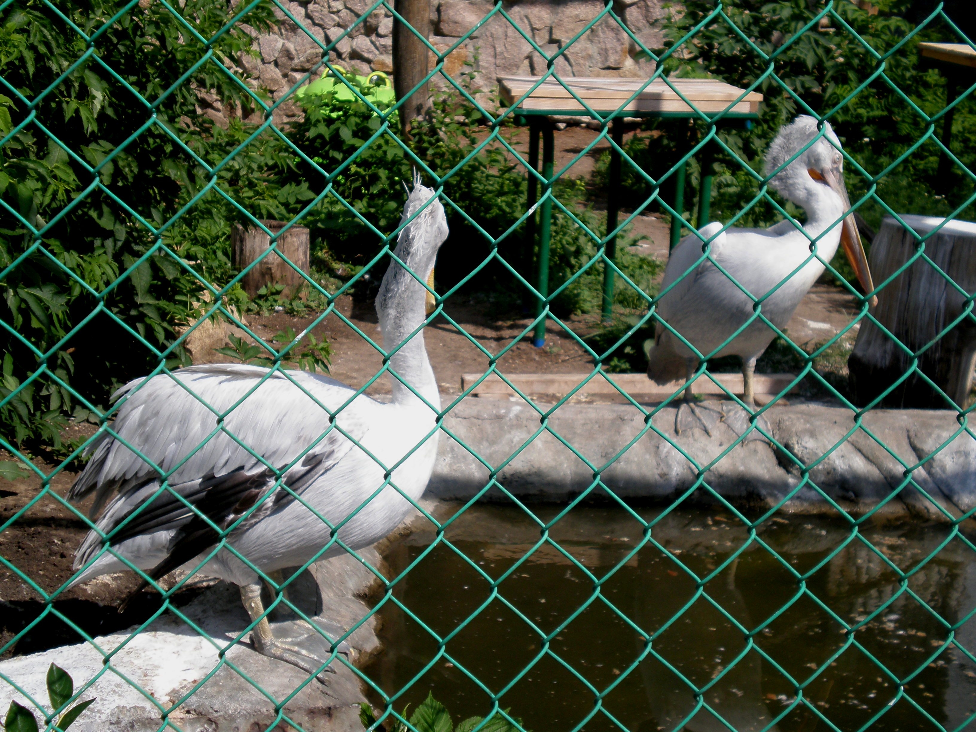 Челябинский зоопарк челябинск