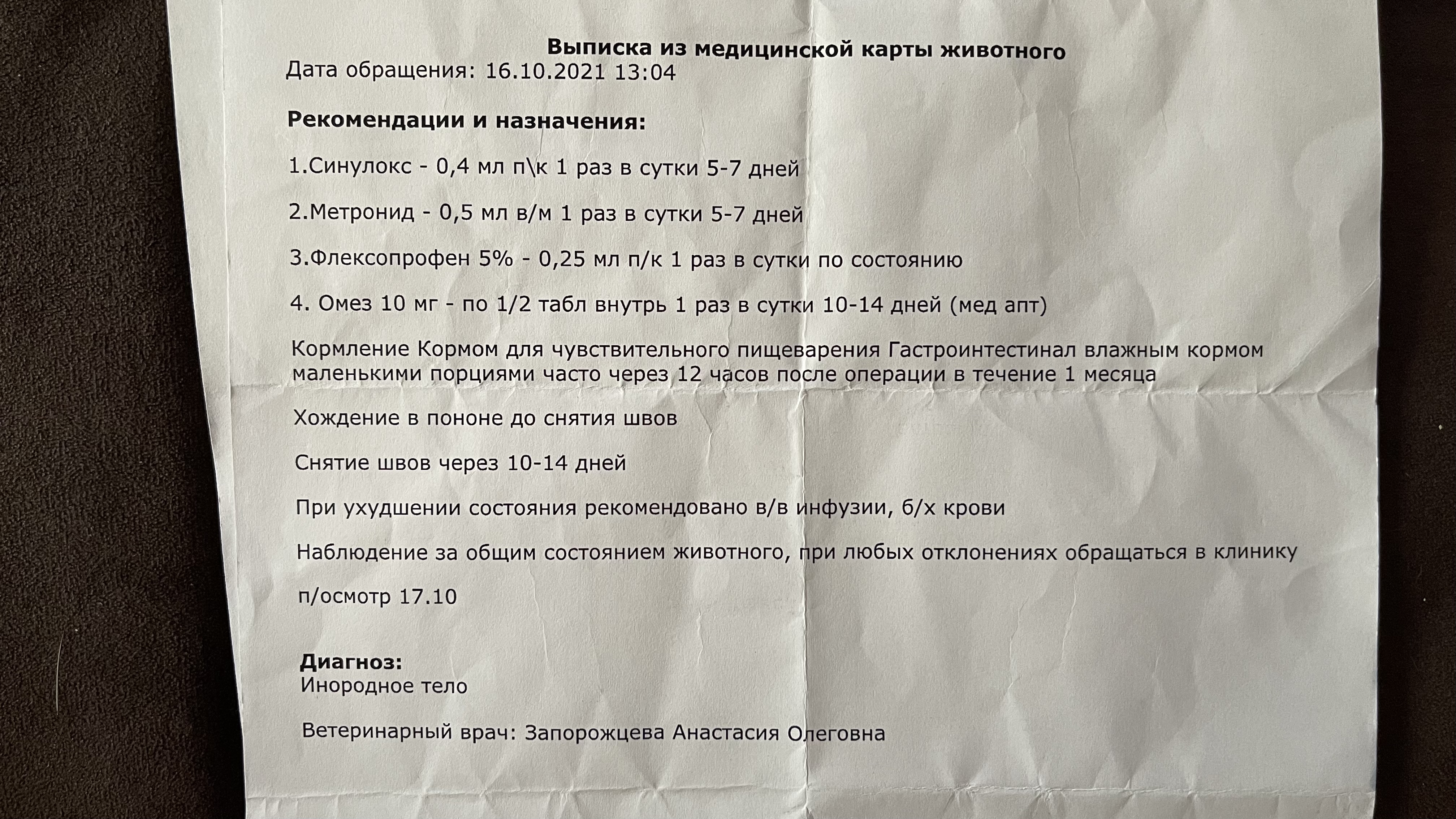 Дай лапу, ветеринарная клиника в Тольятти — отзыв и оценка — Irina Korolyova