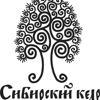 Сибирский кедр
