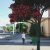 Руфина Богданова
