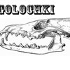Igolochki