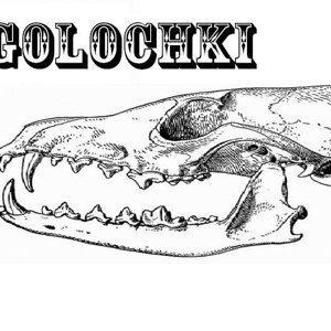 Igolochki