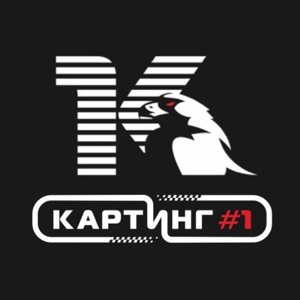 Картинг#1