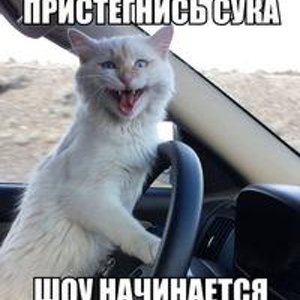 Анюта Попова