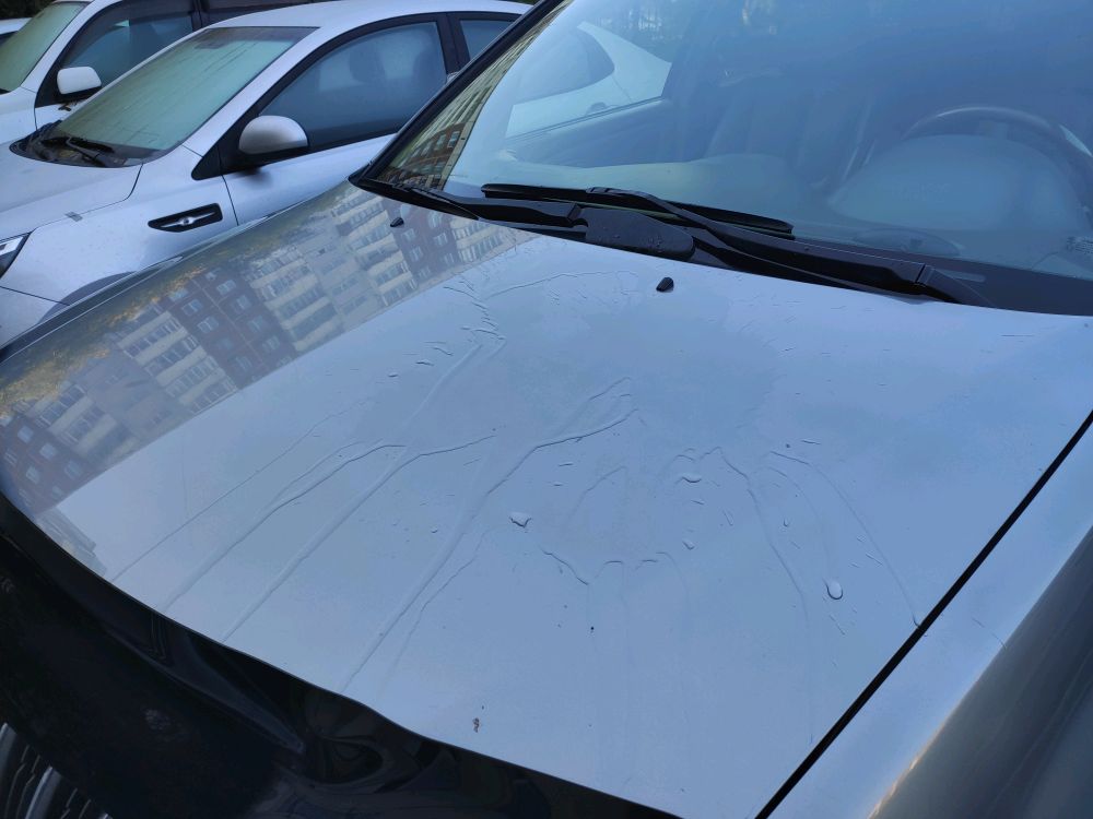 Автомойка янтарь новосибирск Автомойка янтарь новосибирск