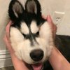 Gabriel Blackyfox