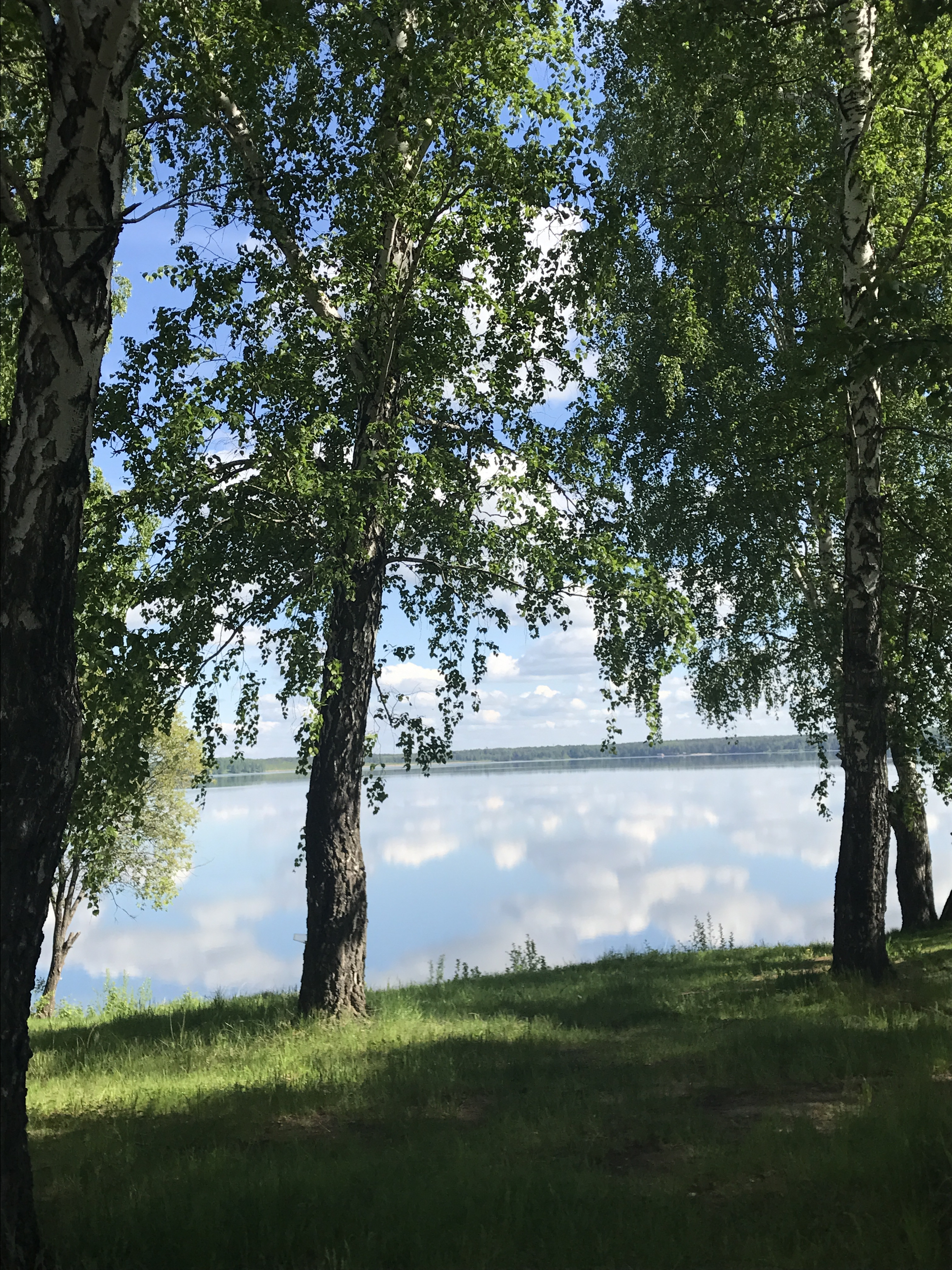 Озеро балтым екатеринбург. Озеро Балтым верхняя Пышма. Озеро Балтым ЕКБ. Гора Змеинка Балтым. Озеро Балтым фото.