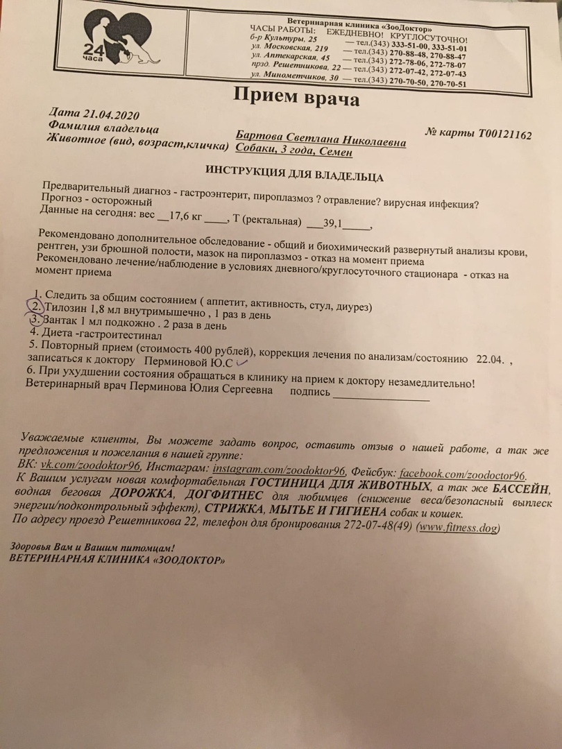 Зоодоктор, ветеринарный центр в Екатеринбурге — отзыв и оценка — Lera  Bartova