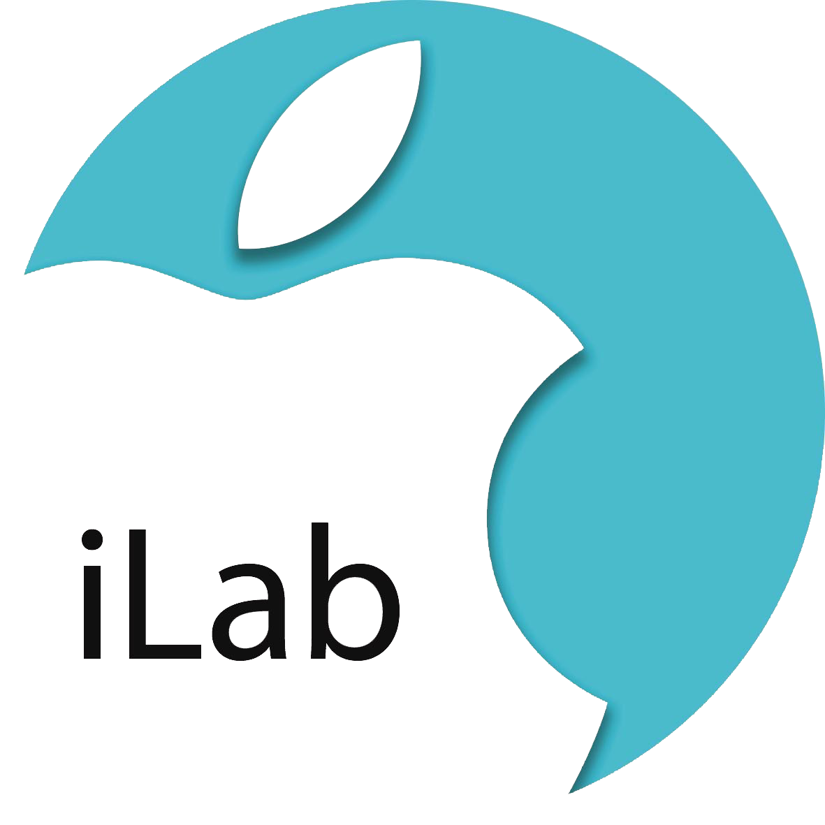 Ilab kg. ILAB. ILAB Taurus. ILAB отзывы.