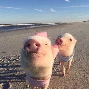 Вера Скороходова