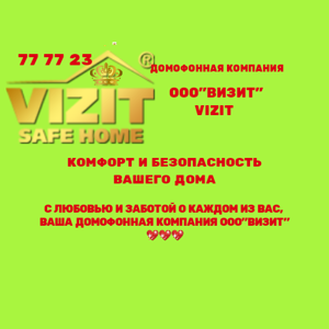 Vizit