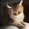 Фаина Плотников