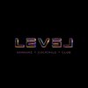 Level