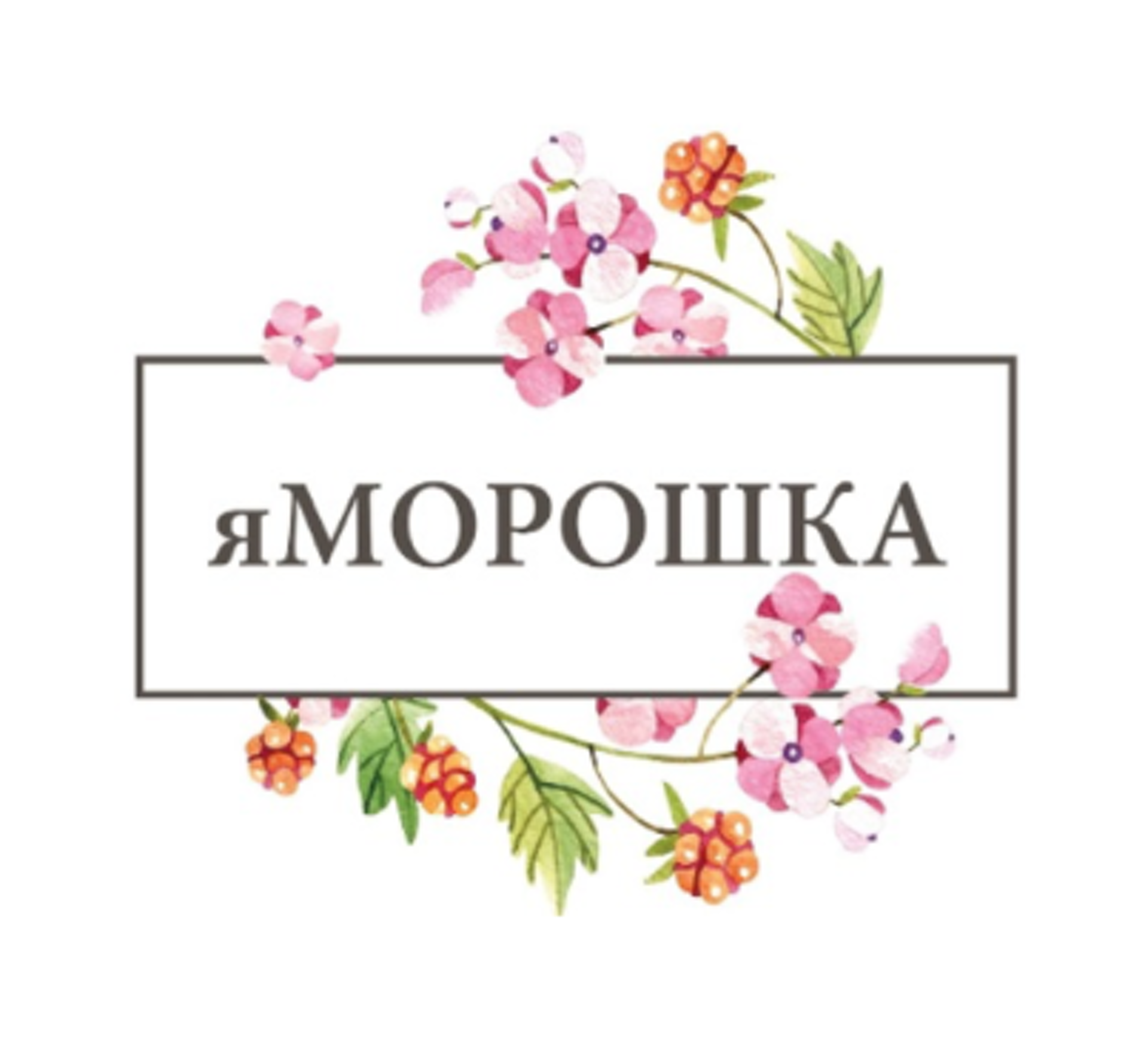 Морошка магазин