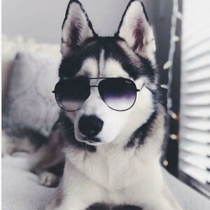 Шилов