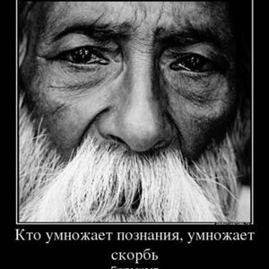 Tagir Isaev